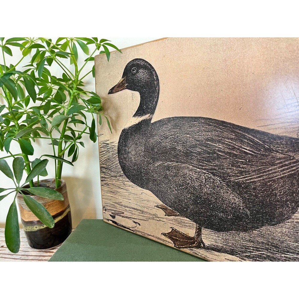 French Cottage Style Duck Vintage Metal Sign